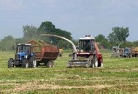 Agro_kompas
