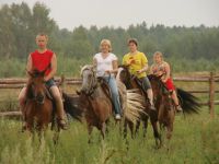 horse